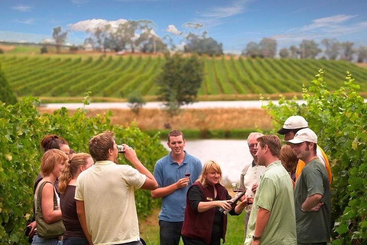 Yarra Valley wine and winery tour from Melbourne