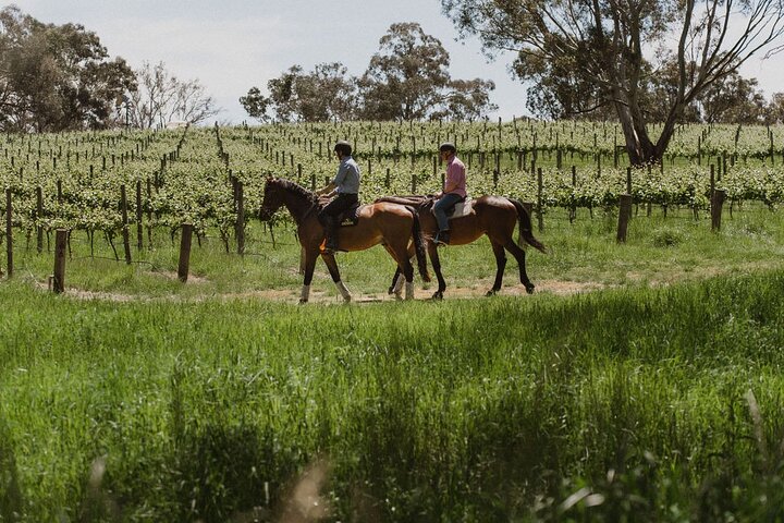 Horse Trail Ride and Wine Tasting at Adelaide Hills Winery - photo