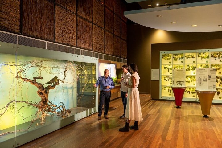 Tour image
