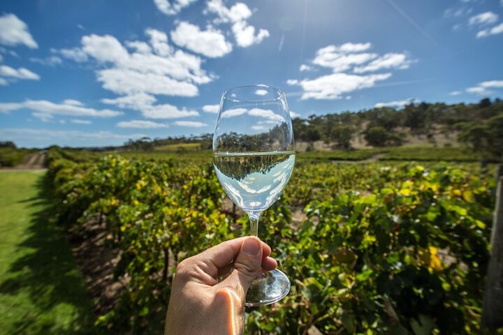 Barossa Valley Wine Tour Tastings and Lunch Included