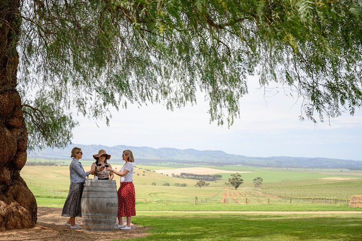 All Inclusive Barossa Valley Food and Wine Tour - photo