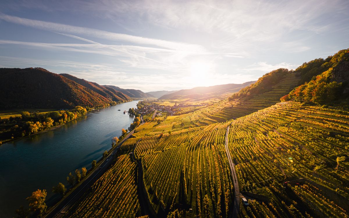 Adelaide Hills vineyard landscape