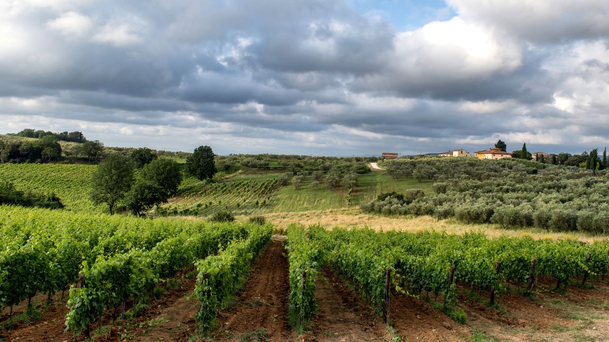Hunter Valley
