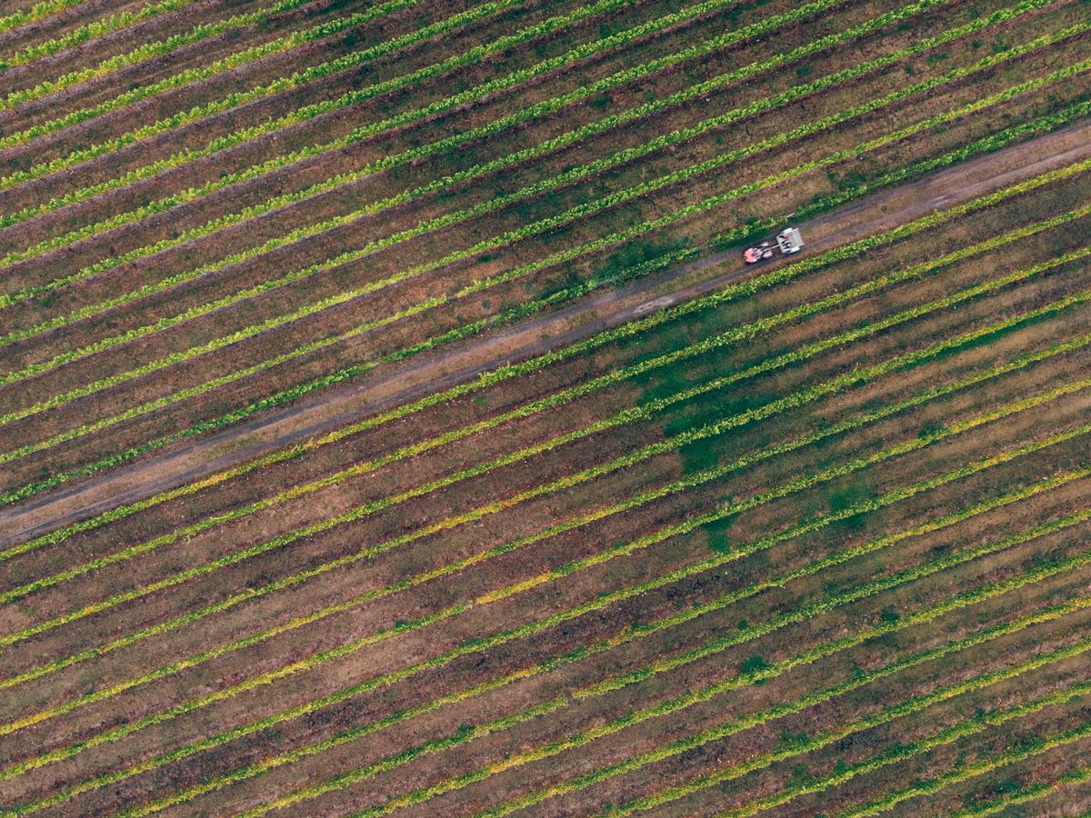 Yarra Valley