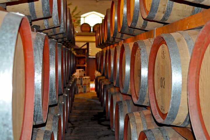 Vineyard rows and cellar door buildings in an Australian wine region