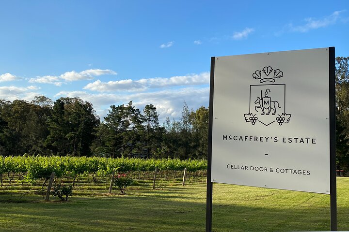 Vineyard rows and cellar-door buildings in an Australian wine region
