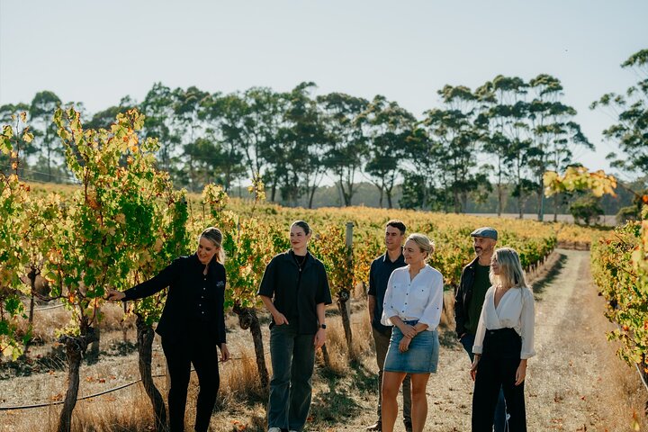 An Australian cellar door tasting bench set for a guided flight