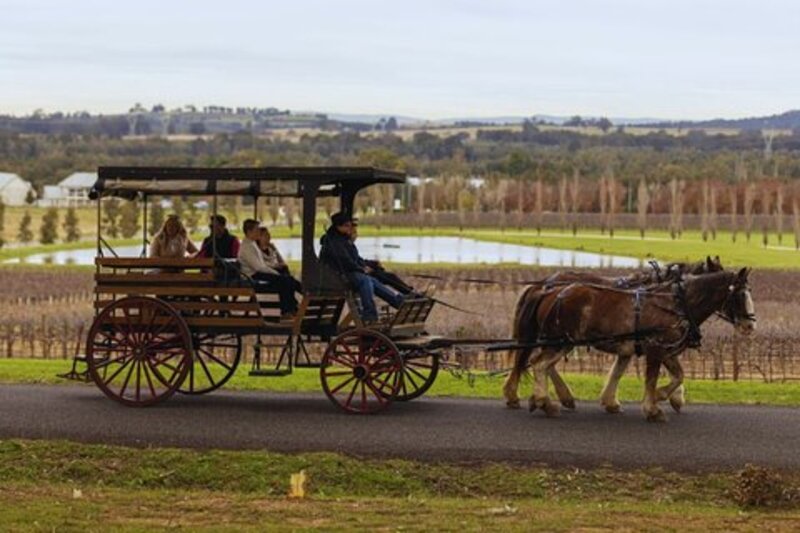 3-Hour Wine and Harvest the Hunter Horse Tour in Pokolbin